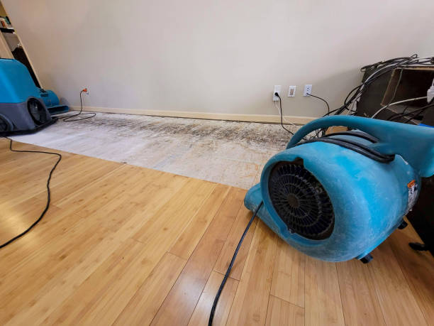Professional Ceiling Water Damage Repair technician working in Glenside, PA